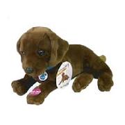 Nintendogs Interactive Playful Pups