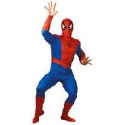 Spider-Man Adult Costume