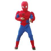 Spider-Man Classic Muscle Costume