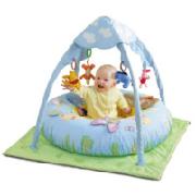 Winnie the Pooh 100 Acre Wood Play Gym