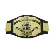 Wwe Intercontinental Championship Belt - Cruiserweight Champion