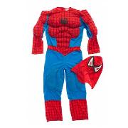 Spiderman - Spiderman Muscle Dressing Up Outfit
