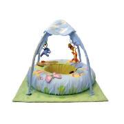 Graco Winnie the Pooh 100 Acre Wood Play Gym