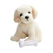 Nintendogs Trick Trainer Pups Asst