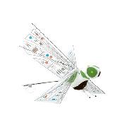 Dragonfly Radio Controlled Insectoid