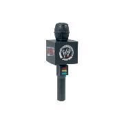 Wwe Superstar Voice Changer Microphone