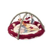 Winnie the Pooh Cosy Play Gym